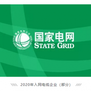 祝賀縱覽線纜集團成功進入國家電網(wǎng)供應商名錄，成為廣西唯一一家進入國網(wǎng)的電線電纜供 ...