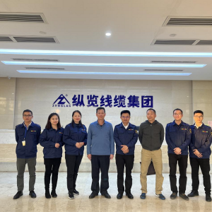 電力興桂 南網情深——廣西電力行業(yè)協會考察組一行到縱覽線纜集團考察交流 ...