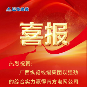 縱覽線纜集團(tuán)斬獲南方電網(wǎng)“億元標(biāo)”——以優(yōu)異成績慶賀2023全國兩會勝利召開！ ...
