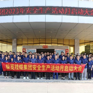“人人講安全  個(gè)個(gè)會應(yīng)急” ——縱覽線纜集團(tuán)2023年度安全生產(chǎn)活動(dòng)月正式啟動(dòng)